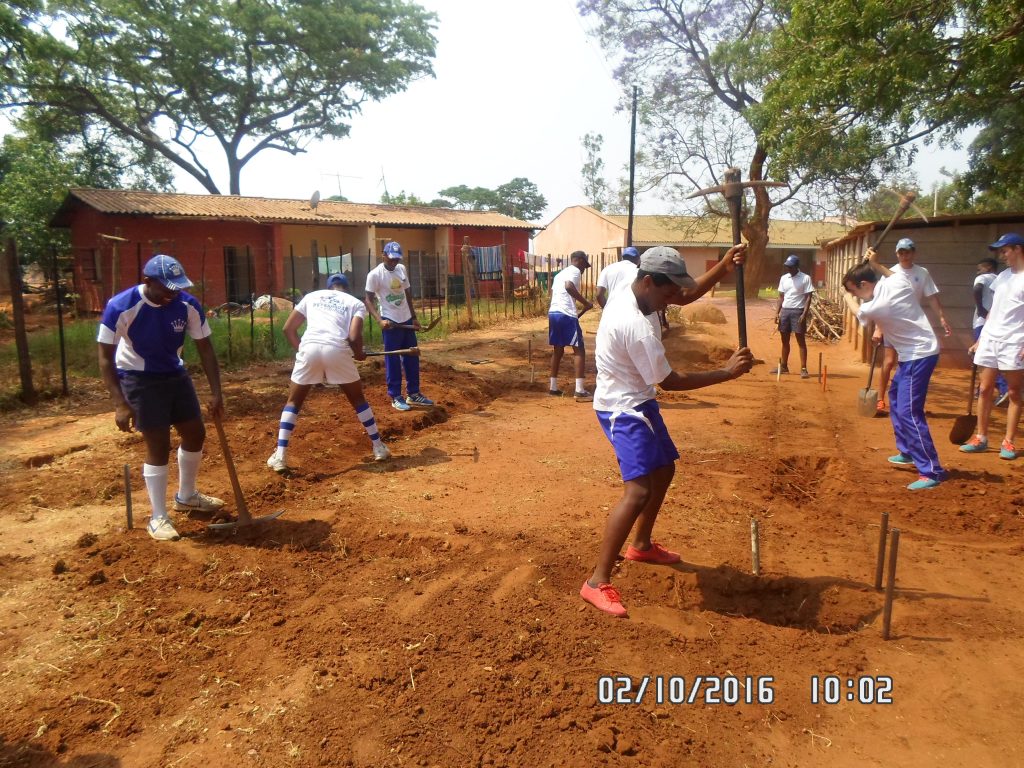 The club hard at work digging the foundation of the chicken run.